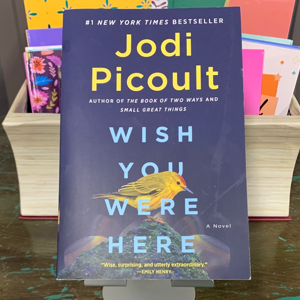 Jodi Picoult 'Wish You Were Here' Book
